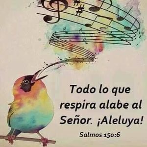 Meet your Posher, Elida